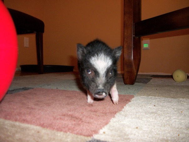 אתה מדבר אליי