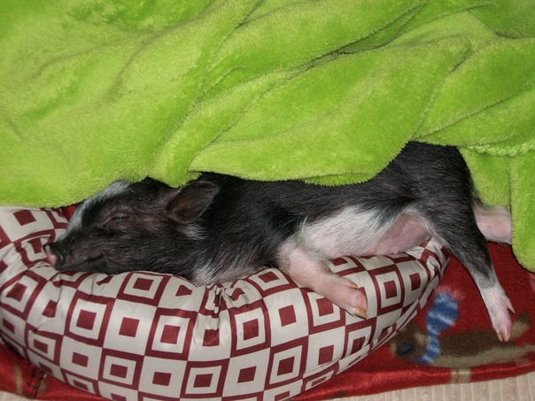 צריך להרגיש בנוח