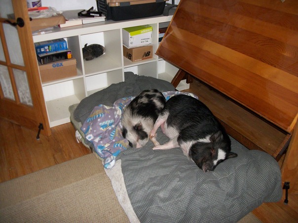 תודיע לי אם שלך הולך במטבח