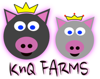 KnQ Logo at 11.18.45 AM